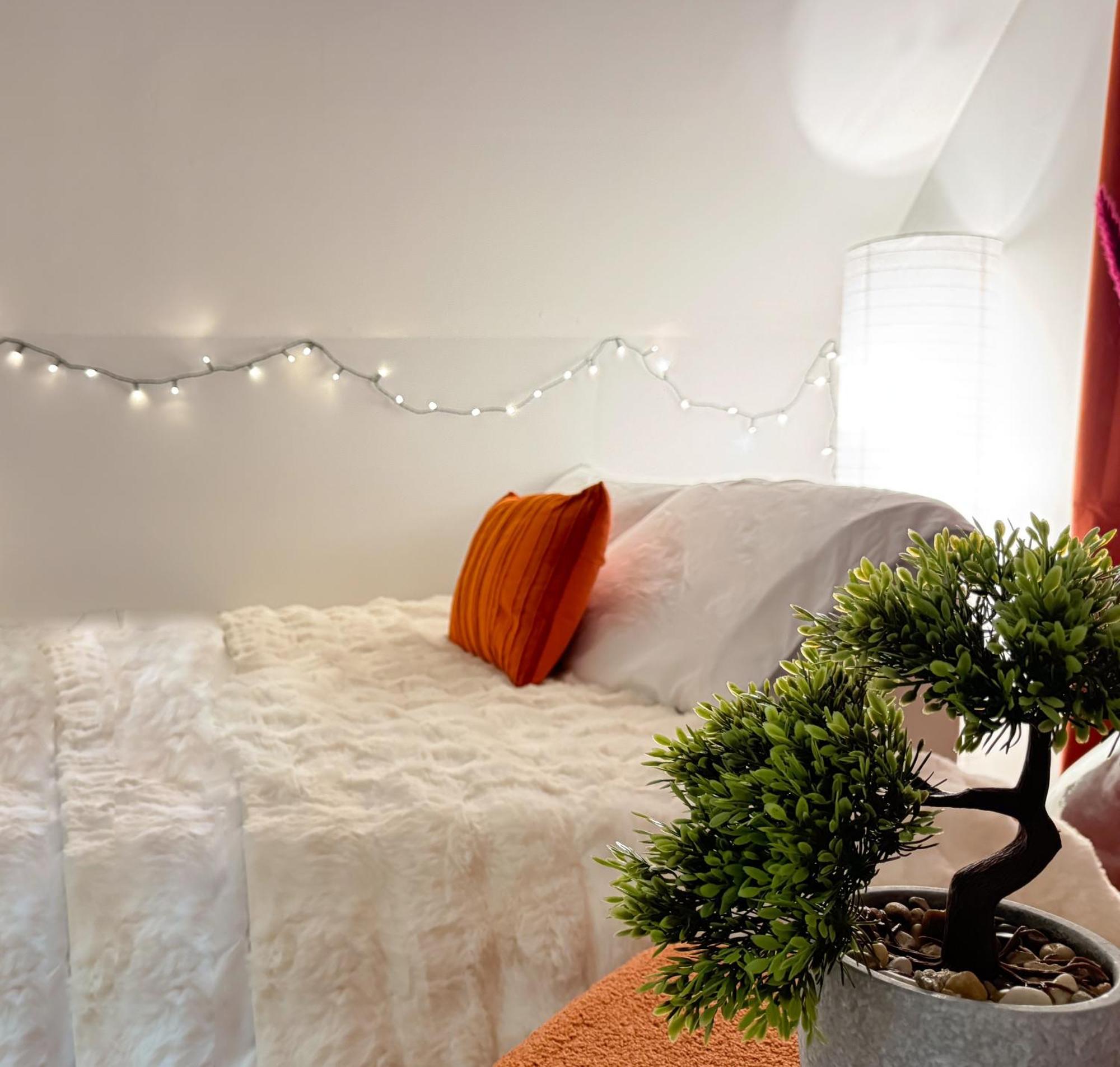 Appartement La Douceur - Hypercentre Pieton De Troyes - Cozy Extérieur photo