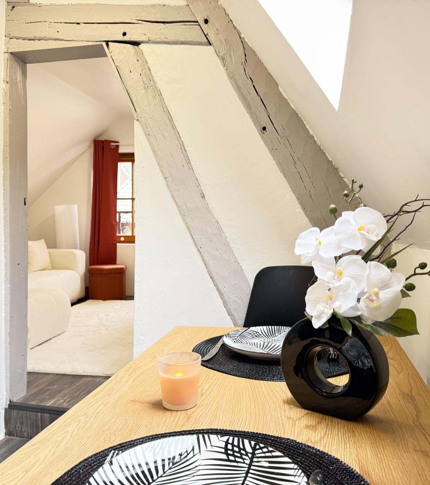 Appartement La Douceur - Hypercentre Pieton De Troyes - Cozy Extérieur photo